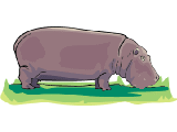 hippopotamo04.gif